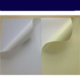 China 0.5mm selbstklebendes steifes transparentes HAUSTIER Film-Spitze PVC-Blatt für Album/selbstklebendes PVC fournisseur